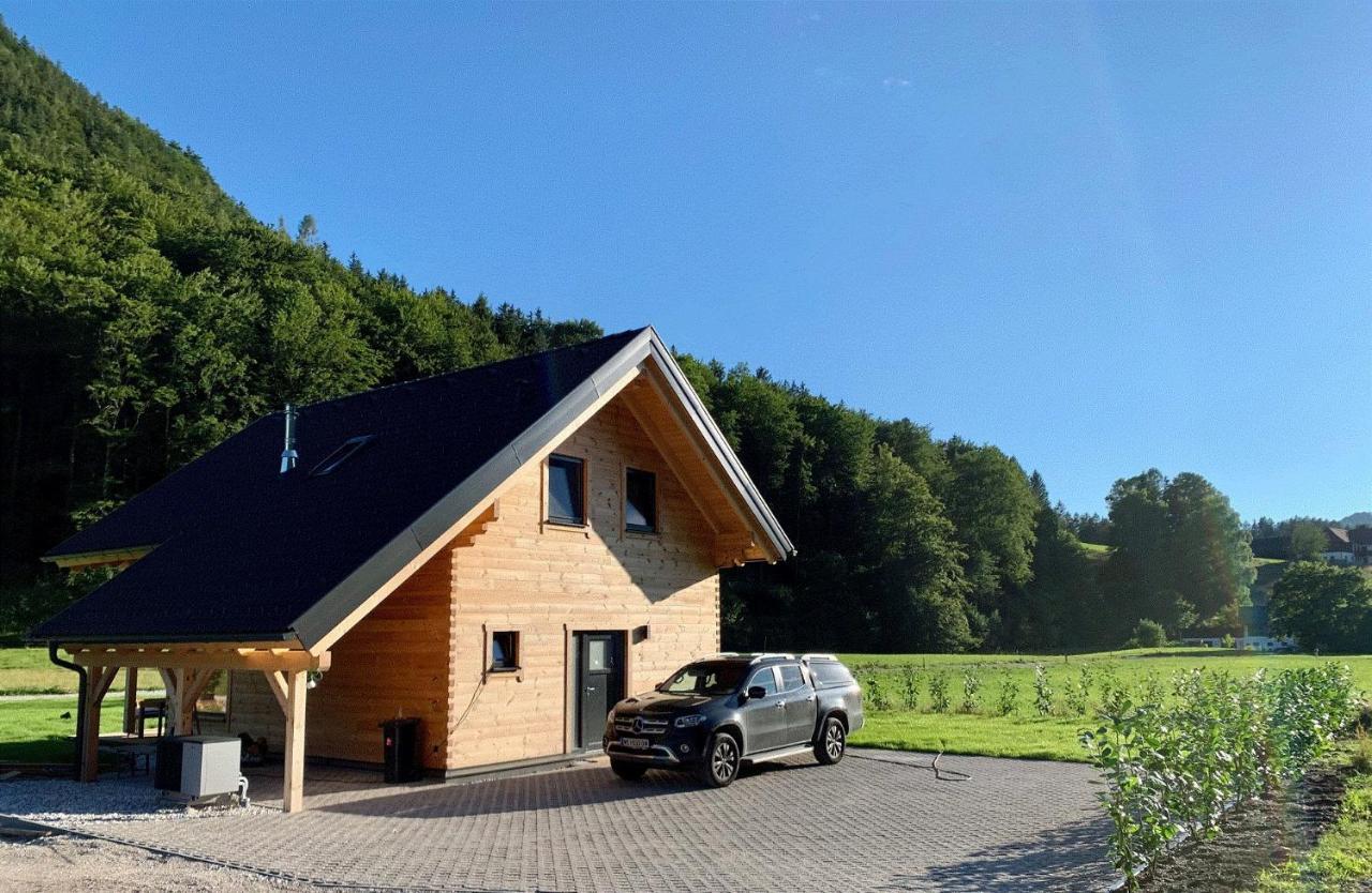 Das Gruenhaus - Dein Chalet In Grünau im Almtal Exterior foto